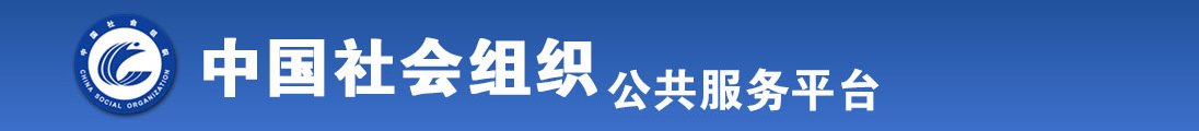 c屄全国社会组织信息查询